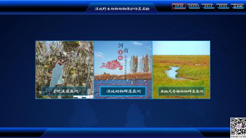 野生动物动物?；し抡媸笛?>
                                    <div class=
